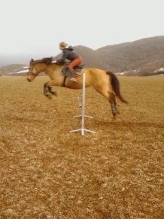 Photo de profil de justine12