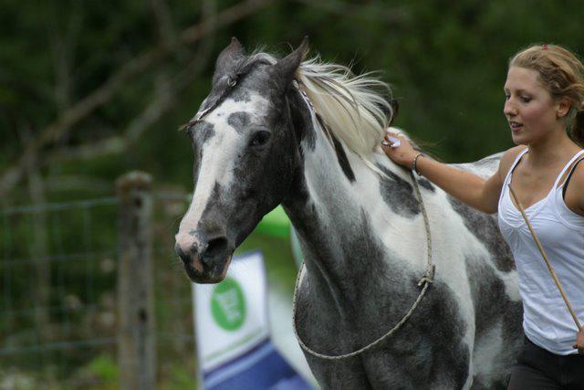 Photo de profil de keba
