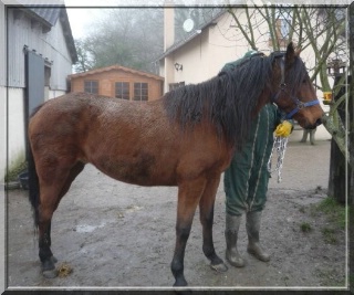 Photo de profil de laudie