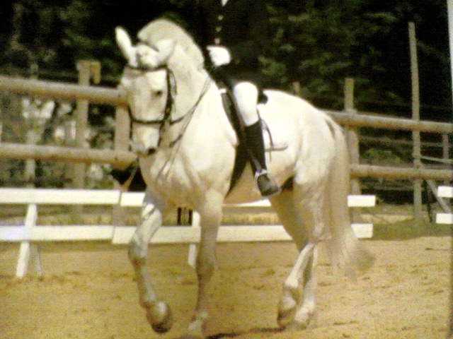 Photo de profil de le_camargue