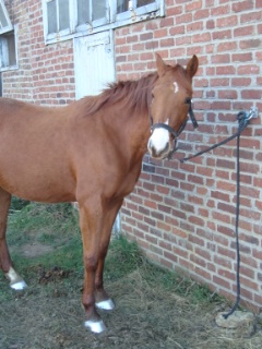 Photo de profil de lilooo