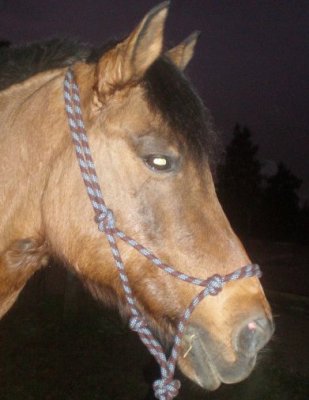 Photo de profil de loladu101