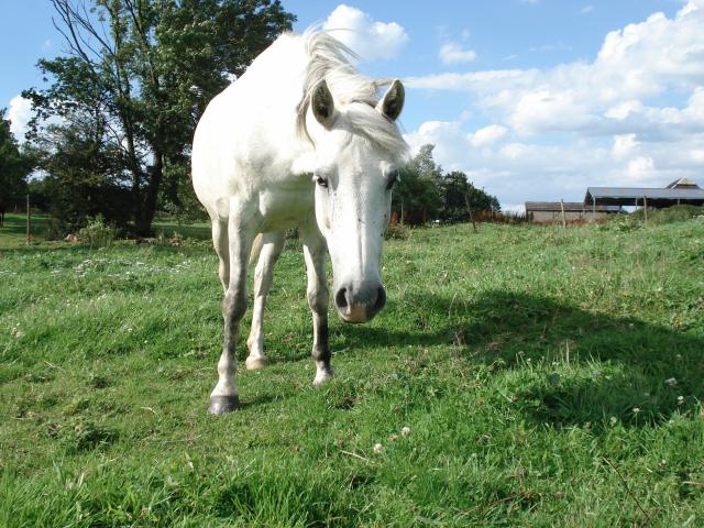 Photo de profil de loloitsme
