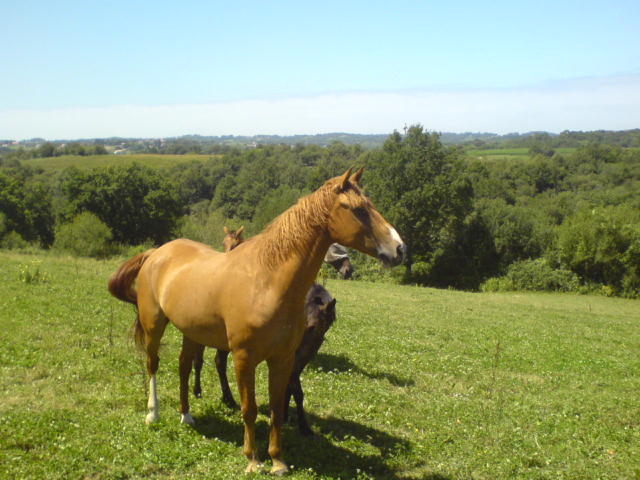 Photo de profil de lord64