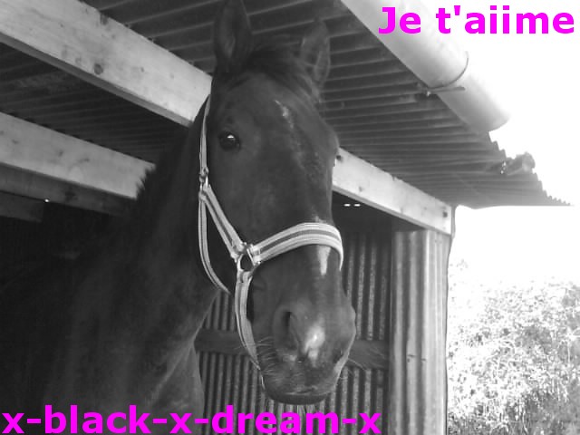 Photo de profil de lorie-lumen