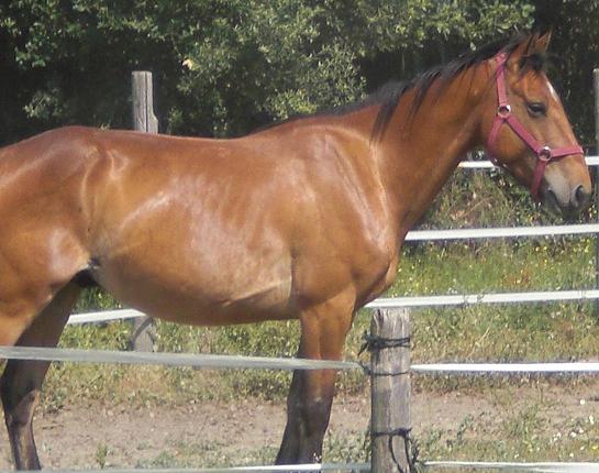 Photo de profil de lucky13