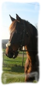 Photo de profil de mandr1