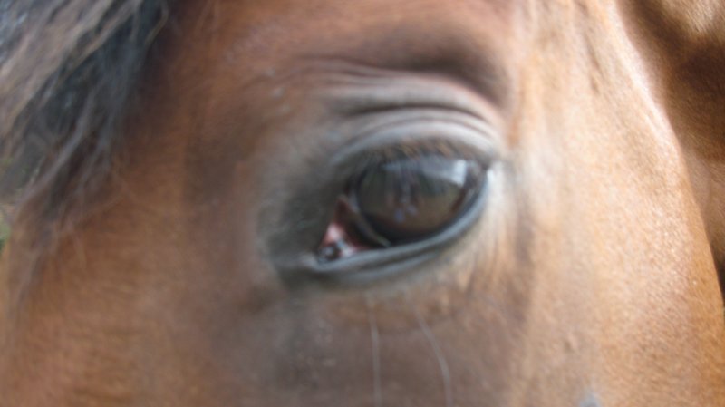 Photo de profil de manonc