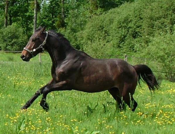 Photo de profil de marianne102
