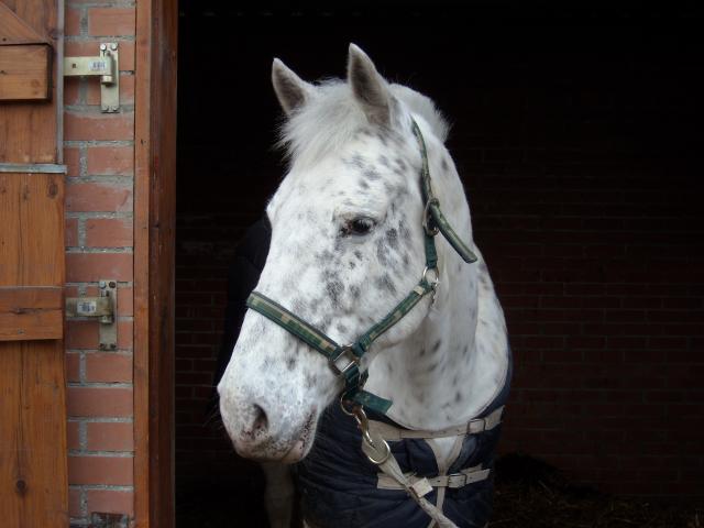 Photo de profil de mary-celine