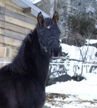 Photo de profil de melan4