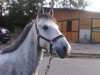 Photo de profil de melville