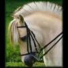 Photo de profil de miss-horse564