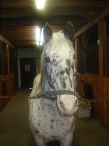 Photo de profil de miss_pryde