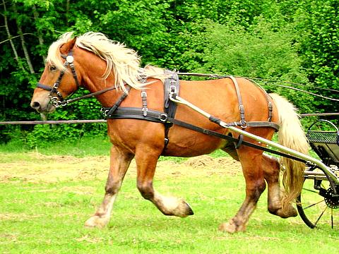 Photo de profil de nanou01