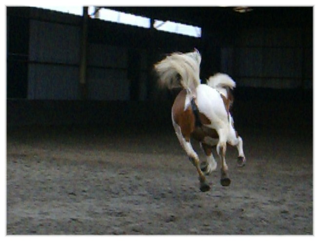 Photo de profil de nestie