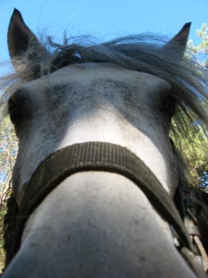 Photo de profil de ouranos-oasis
