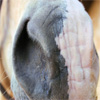 Photo de profil de peperemichel