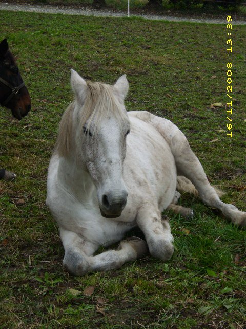 Photo de profil de pinta73