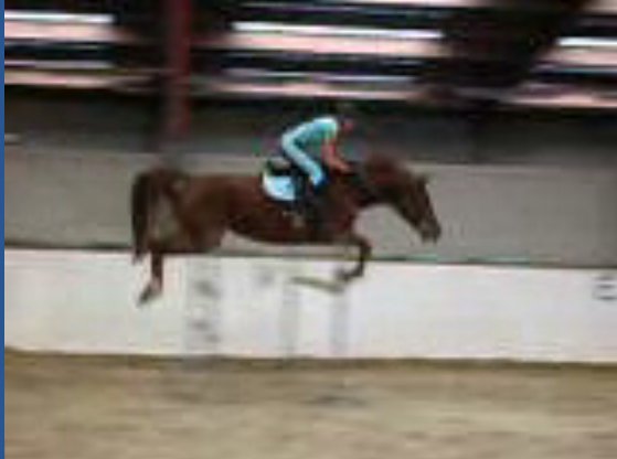 Photo de profil de pitchoune*