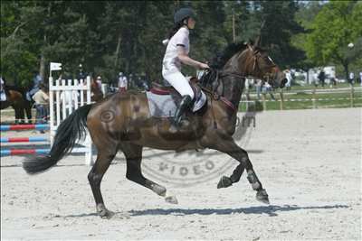Photo de profil de pitialex