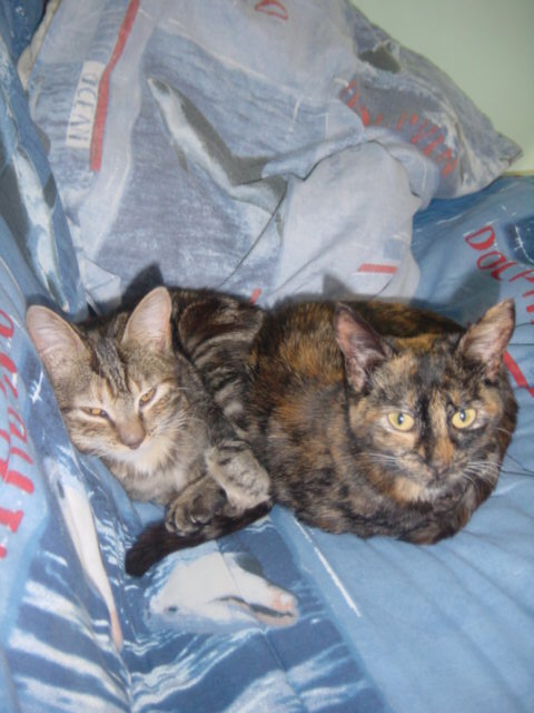 Photo de profil de poupoutegirl