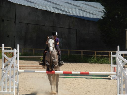 Photo de profil de q.d.k