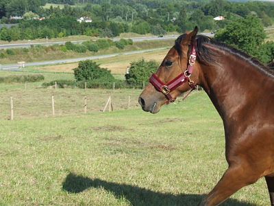 Photo de profil de raphie