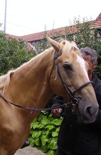 Photo de profil de riazan
