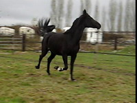 Photo de profil de samraa