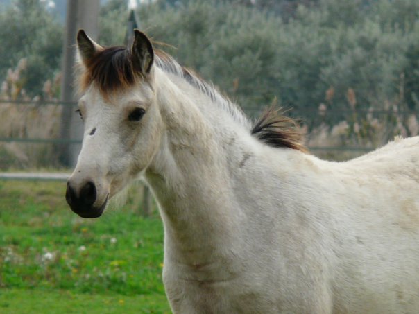 Photo de profil de selene