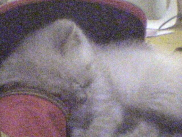 Photo de profil de tina2008