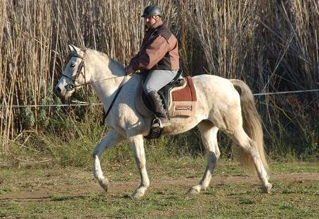 Photo de profil de titan-66000