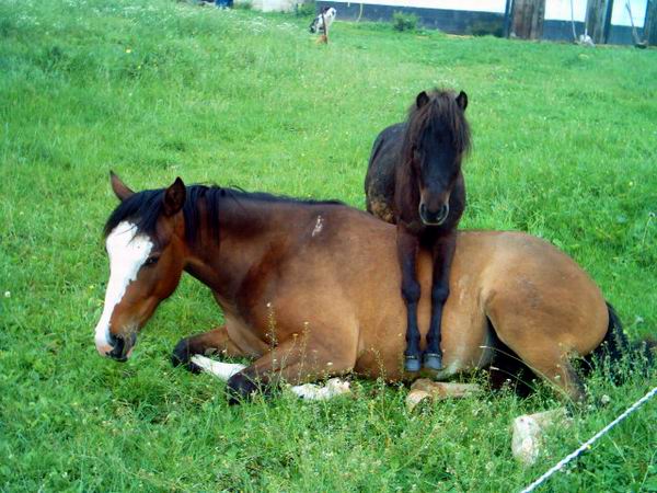 Photo de profil de toutoune131