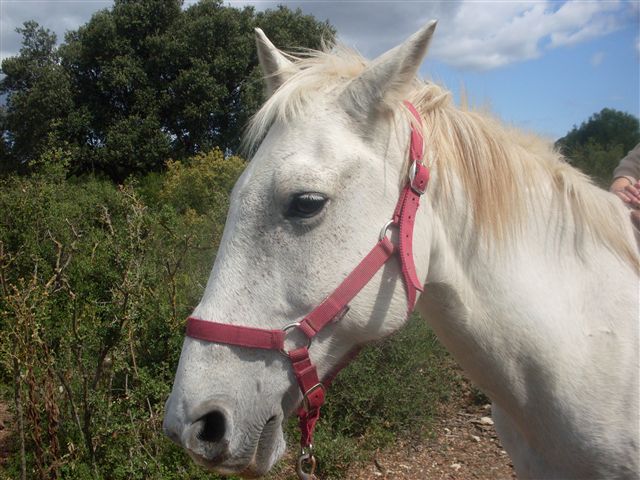 Photo de profil de virginie34