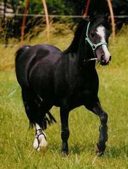 Photo de profil de 1997marion