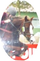 Photo de profil de anaiskurty