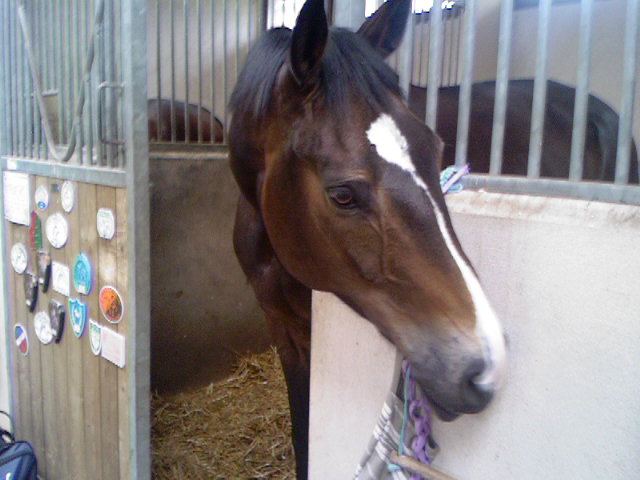 Photo de profil de andie77