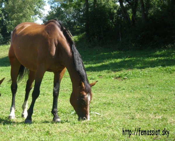 Photo de profil de angie39