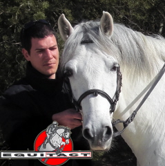Photo de profil de arnaudmoraes