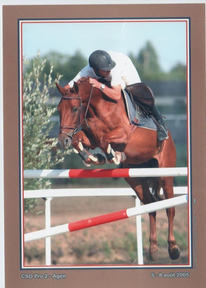 Photo de profil de asslan