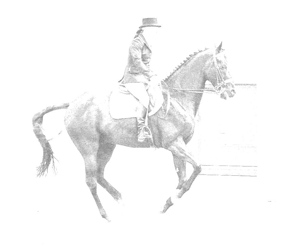 Photo de profil de aude34