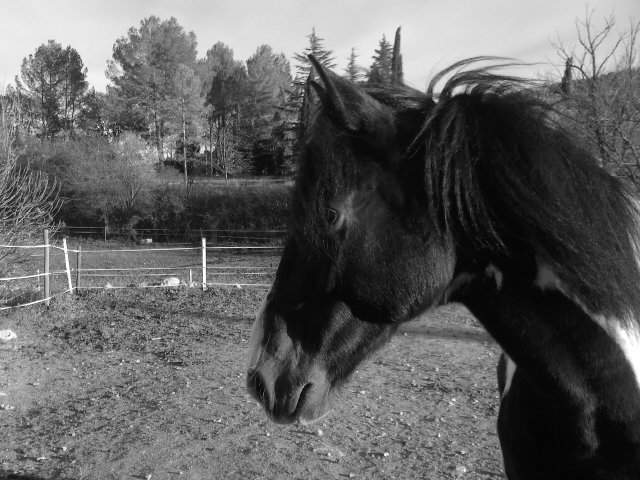 Photo de profil de azur-indigo