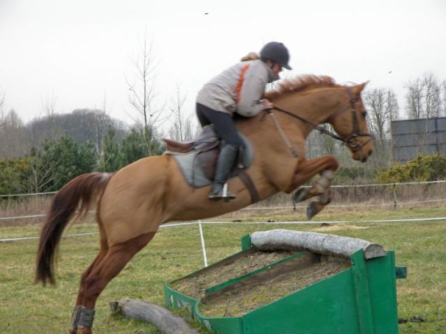 Photo de profil de bbolden88