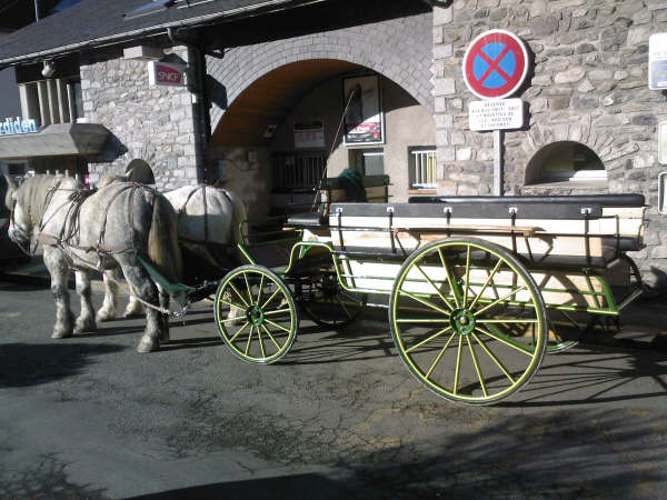 Photo de profil de bijou