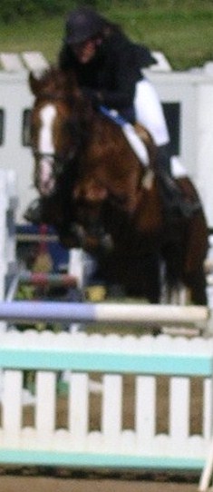 Photo de profil de billou