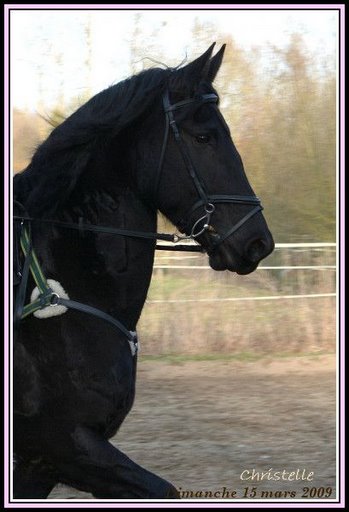 Photo de profil de bmi