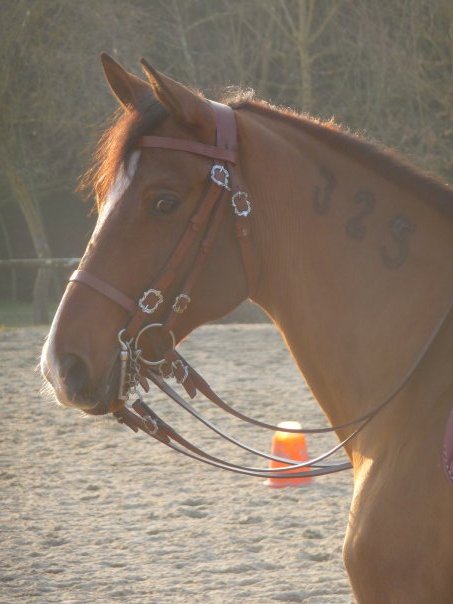 Photo de profil de caro-blanzac