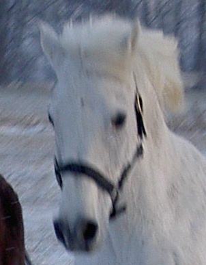 Photo de profil de carolehret