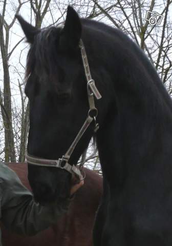 Photo de profil de caroline32